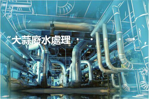 “大蒜廢水處理，綠色環(huán)保新篇章”